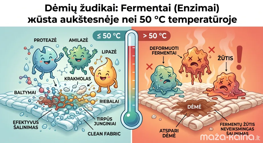 Fermentai žūva esant aukštesnei nei 50 °C temperatūrai